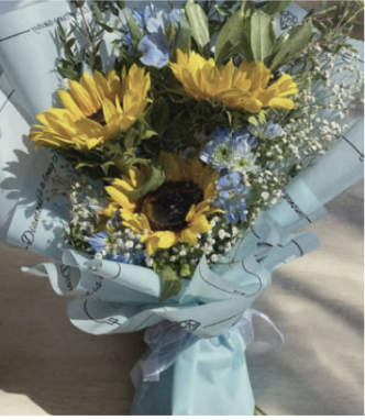 Screenshot 2025-08-27 at 13.37.21 3 Girasoles y follaje