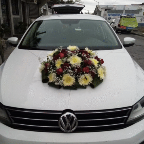 Decoración Auto #01