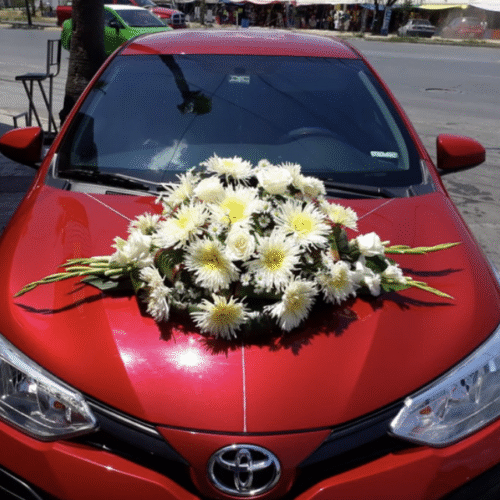 Decoración Auto #02