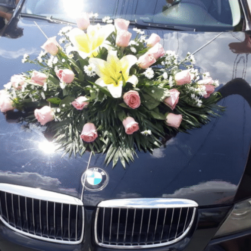 Decoración Auto #03