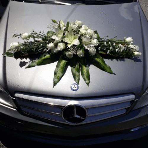 Decoración Auto #04