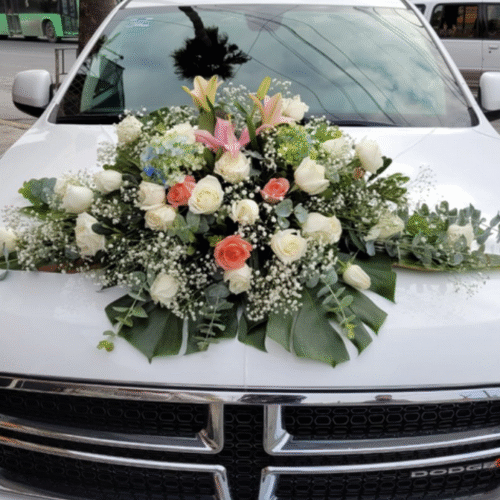 Decoración Auto #05