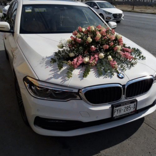 Decoración Auto #06