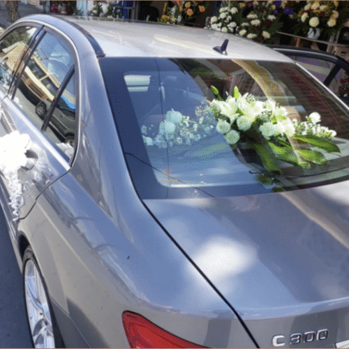 Decoración Auto #10