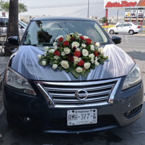 Decoración Auto #11