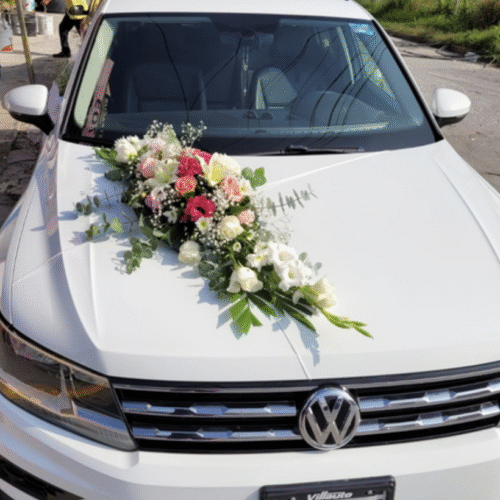 Decoración Auto #12