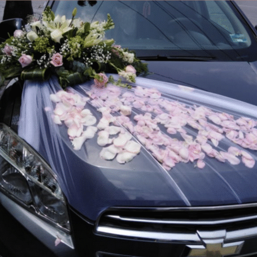 Decoración Auto #13